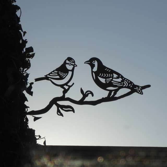 Two little birds at sunset